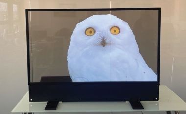 tùy chỉnh Ultra Thin OLED hiển thị trong suốt Cho quảng cáo trong nhà