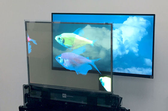 Màn hình OLED minh bạch, màn hình OLED đầy màu sắc
